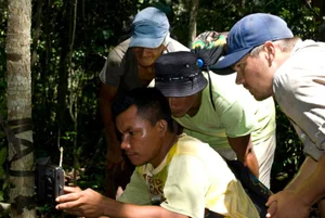 Camera trap jaguar image