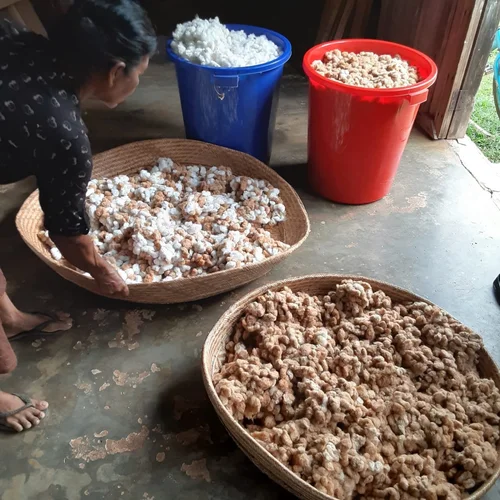Raw cotton for weaving