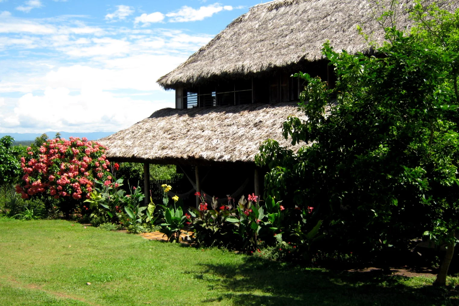 Caiman House guest house